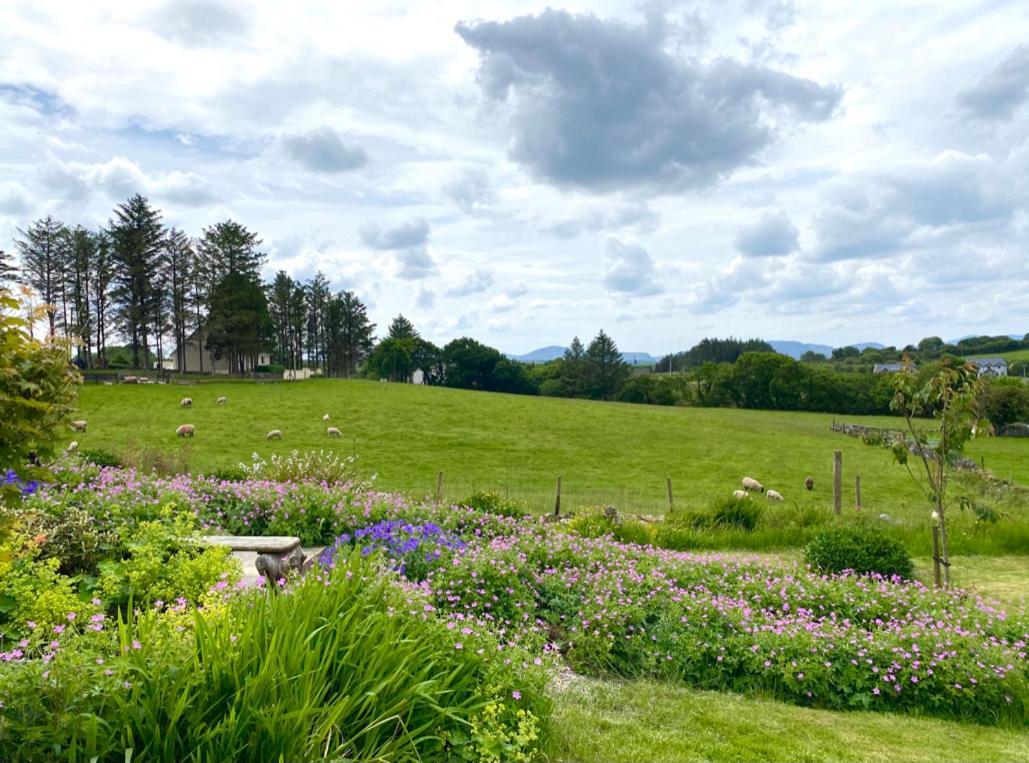 Brook Lodge Glenties Exterior foto